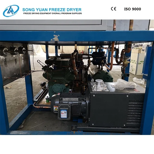 
china Freeze Dryer Machine, Vacuum Lyophilizer for food, medicines, biological, factory price scientific freeze dryer GZL-2 