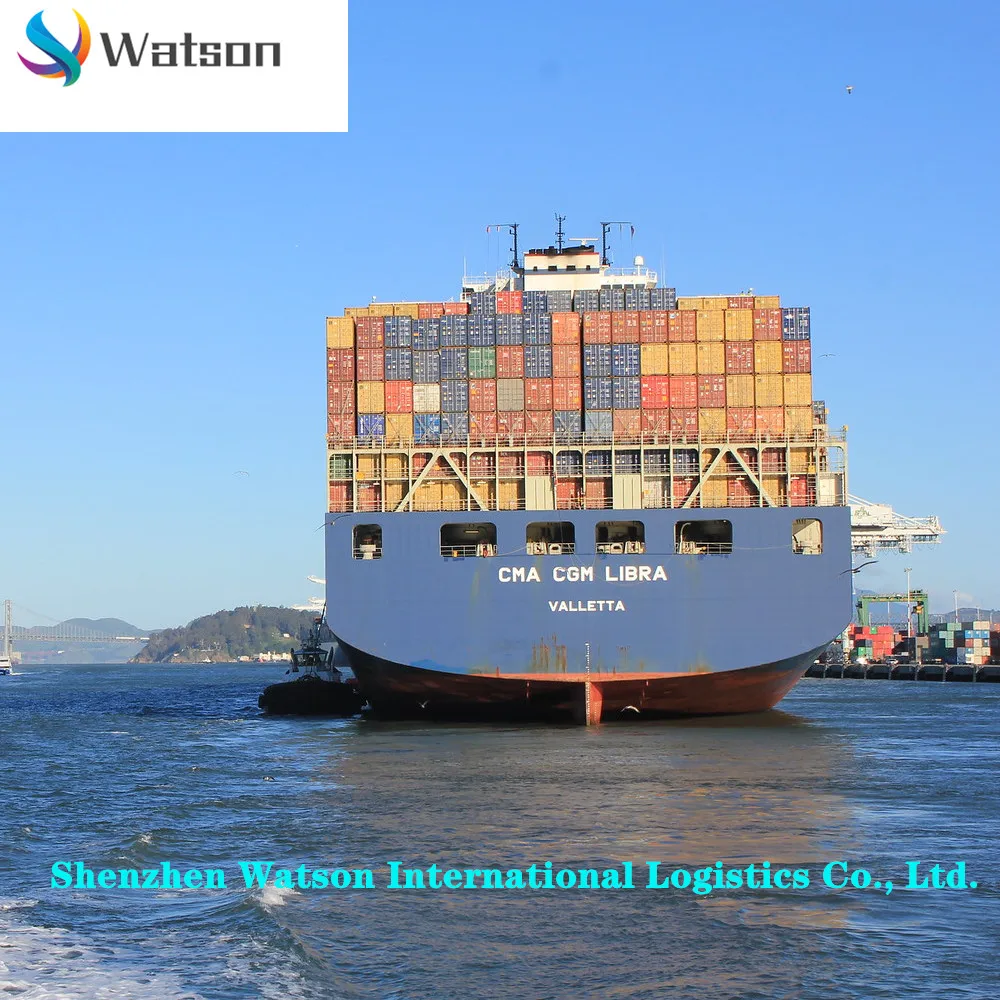 
China to EU countries United Kingdom France Spain Germany Italy Netherlands to the sea transport DDU/DDP transport services 
