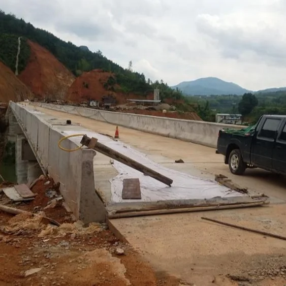 
Prestressed concrete bridge 