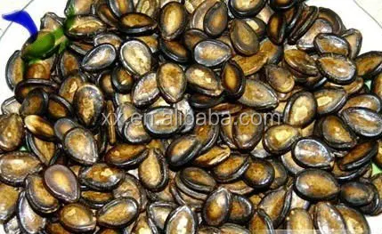 Watermelon seeds kernel dry in the sun hybrid watermelon seeds price