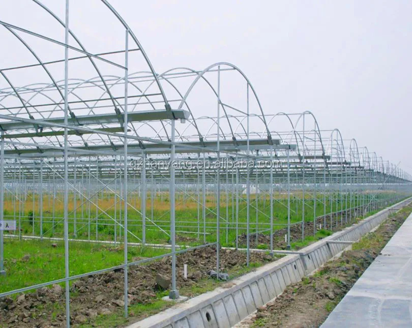 plastic covering material and galvanized steel frame greenhouse
