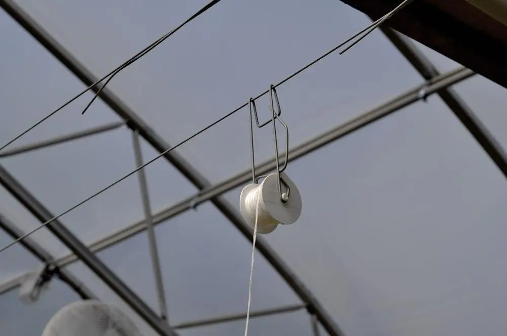 Hot Sale and Low cost Greenhouse Trellising Tomato Roller Hook For Tomato Growing