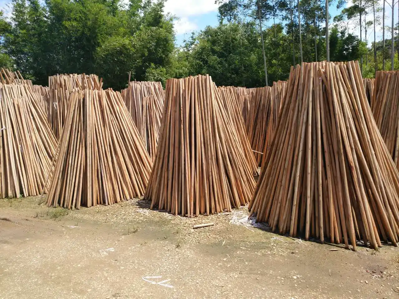 Eucalyptus wood factory directly broom handle natural wooden broom handle