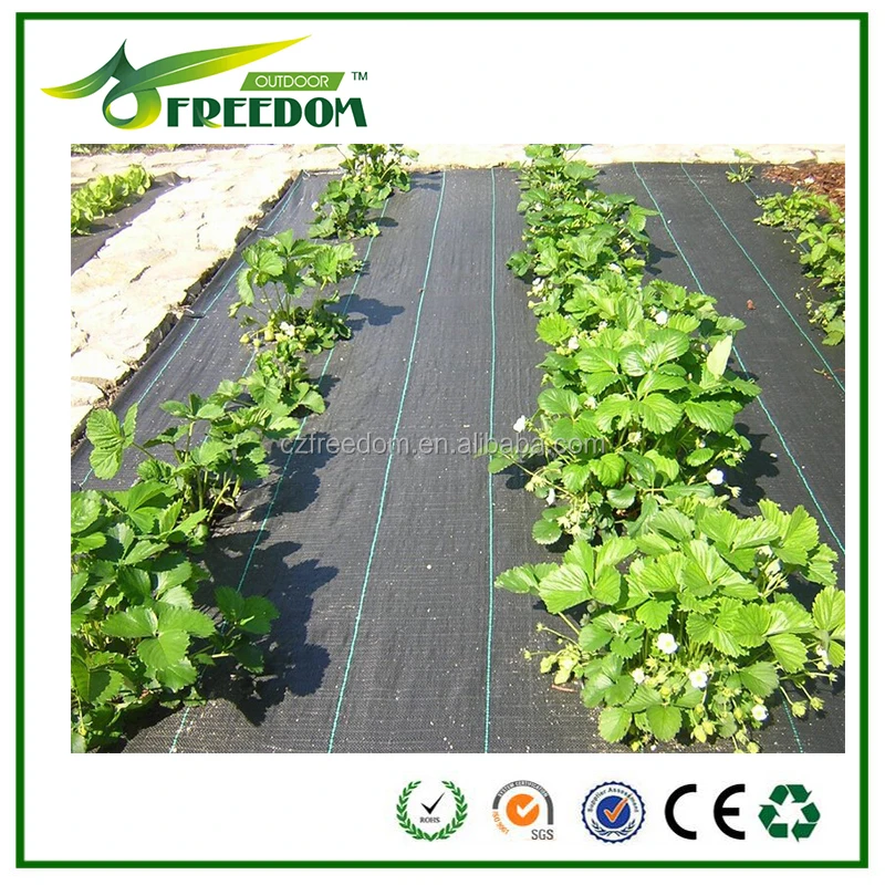 Plastic woven weed mat , PP ground cover ,PP ground mulching netting