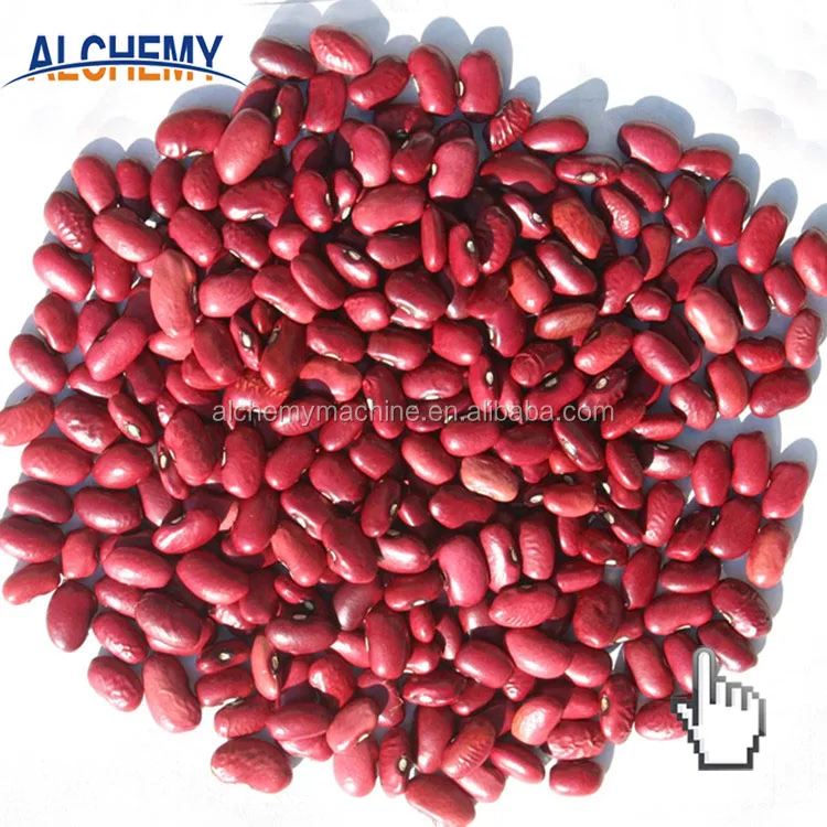 Red Kidney Beans and Red Beans with Wholesale Price