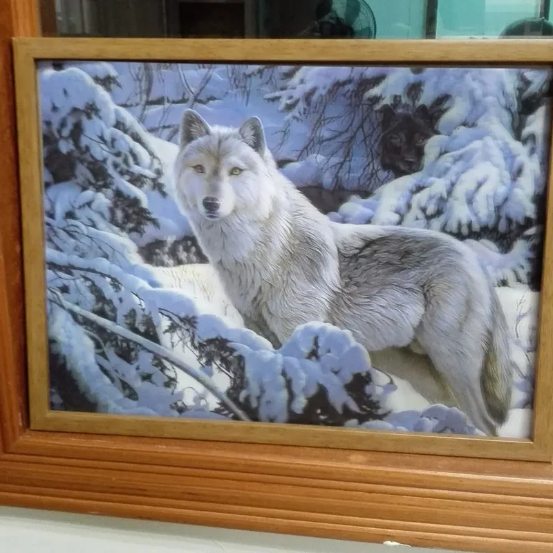
lenticular wolf 3d picture 