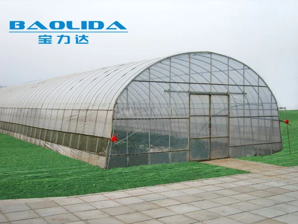 
cheap vegetables tunnel greenhouse baolida tunnel green house 
