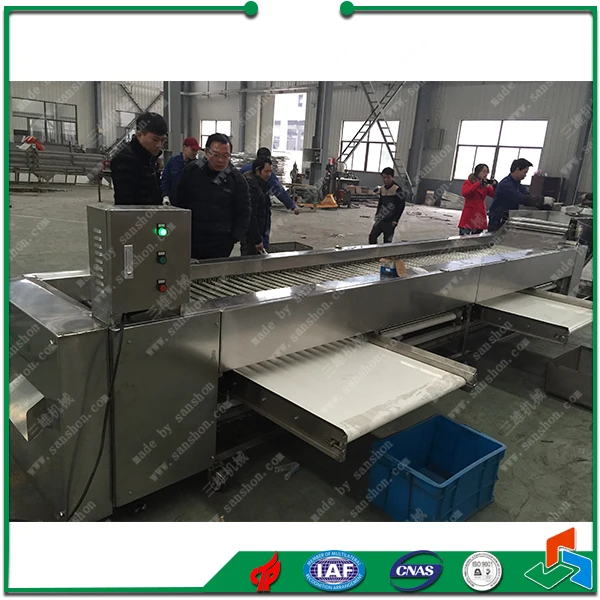 China Dates Jujube Grading and Sorting Machine Sorter Grader