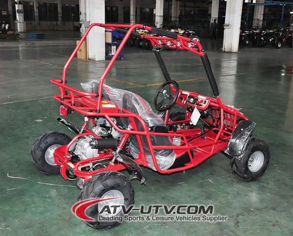 110CC 2 Seater Cheap Gas Powered Go Kart with EEC EPA Certificate