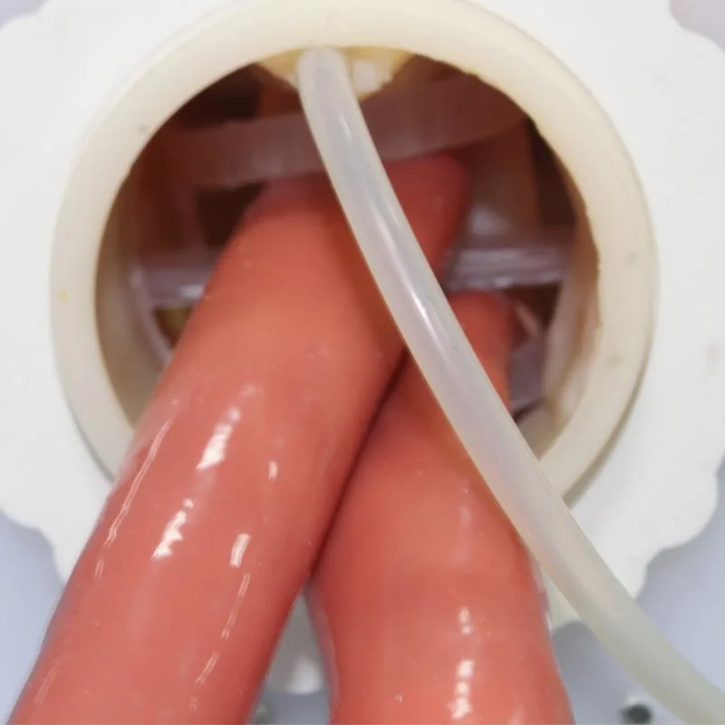 Sale Human Nasogastric Tube Trachea Surgical Nursing Newborn Inbutation Training Model Electronic Airway Intubation Simulator