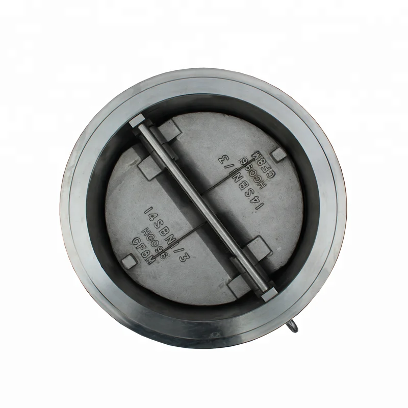 DN250 150LB Stainless Steel CF8M Wafer Type Dual Plate Check Valve Sea Water Duo Check Valve