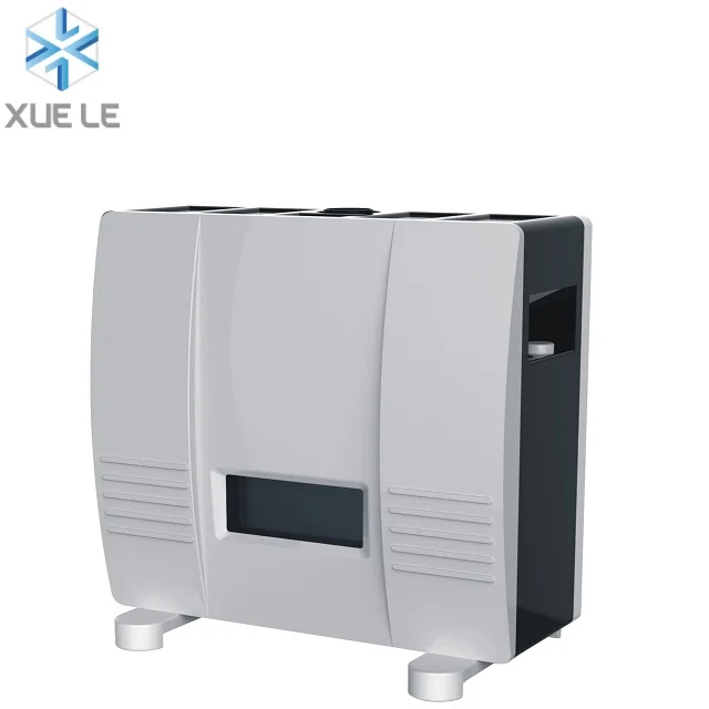 Pilot Ignition LPG/NG 10KW Free Standing Gas Room Heater