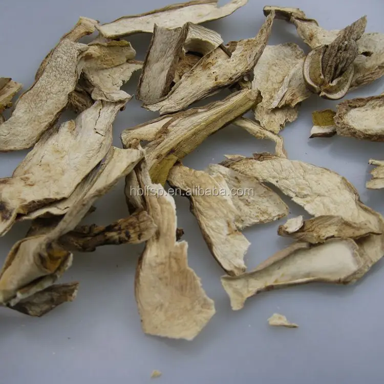 
Market Prices for Fresh Dried White Porcini Mushroom Slices Photos 