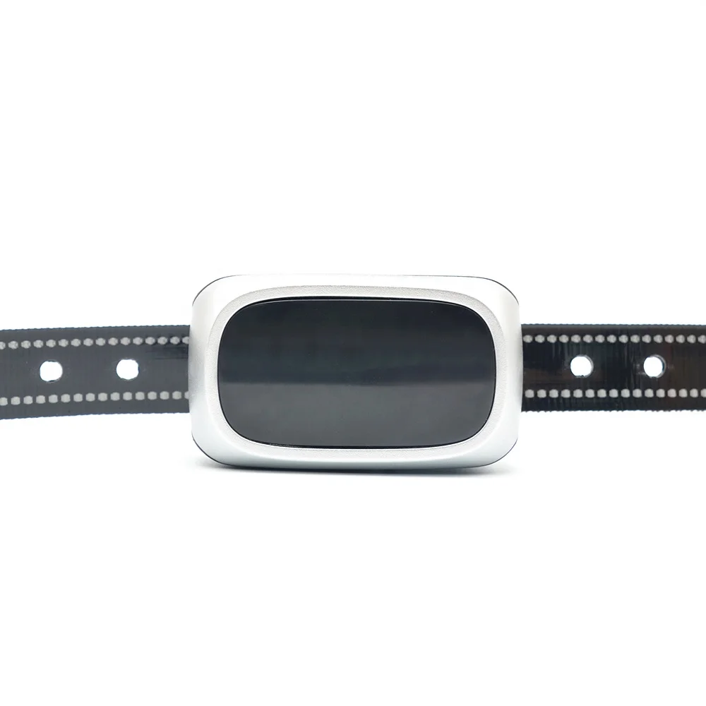 Silver Wireless Waterproof Rechargeable In-ground Electronic Dog Fence System