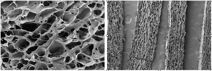 
Biological membrane Artificial Nerve Conduit Implant medical device Type I collagen for hand and foot surgery 
