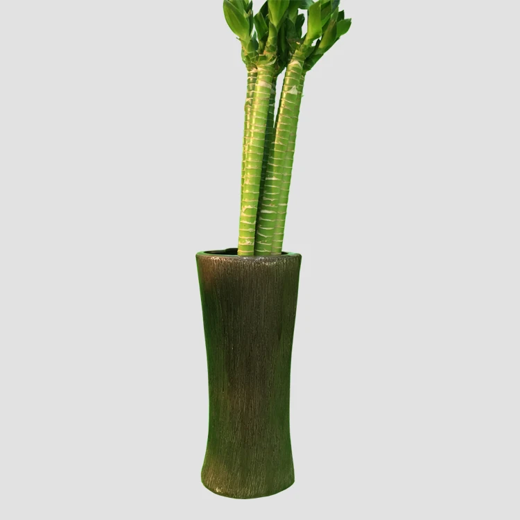 
A graded natural plants aquatic lotus lucky bamboo  (60827145188)