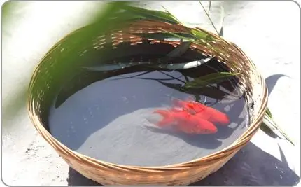 Cement - base Permeable Crystalline Building Waterproofing coating Paint for construction walls