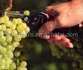 (PC-803S-1) 190mm Stainless Harvester Curved Blade Grape Pruners