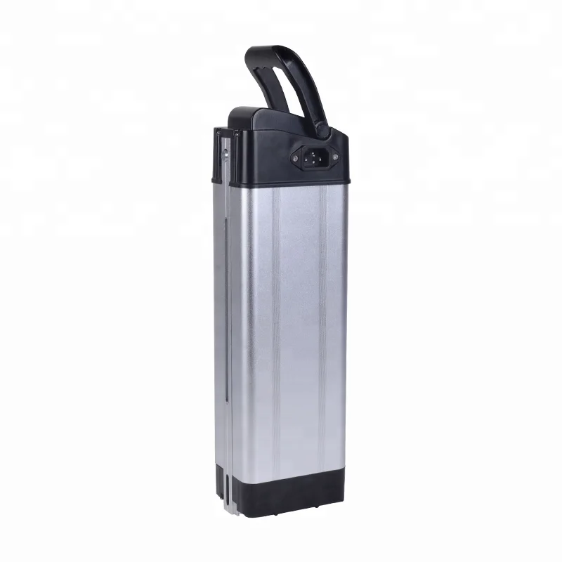 silver fish type BMS lithium 1000w 48 volt 20ah ebike battery