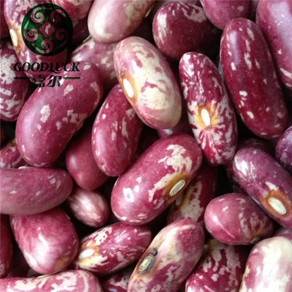 
Wholesale 2018 Crop Chinese 220-240 Red Speckled Kidney Beans RSKB Price 