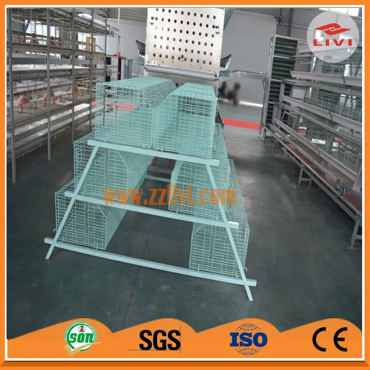 Cages for laying hens: buy in China