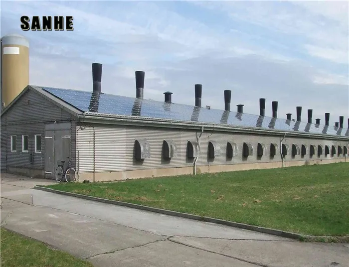 Automatic Broiler House Poultry Shed Design for chicken farm