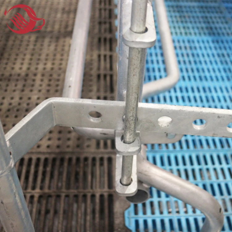 Piggery Farm Equipment, Galvanized Pig Farrowing Crates