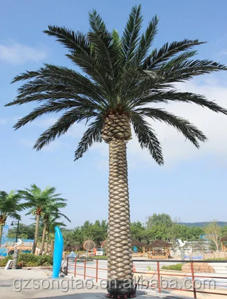 Newest Garden Dates in Dubai Quality Date Palm Saudi Arabia Factory Direct Artificial Date Palm