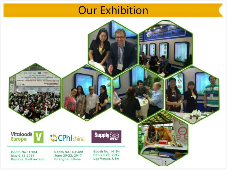 
High Quality Free sample Cauliflower Powder 