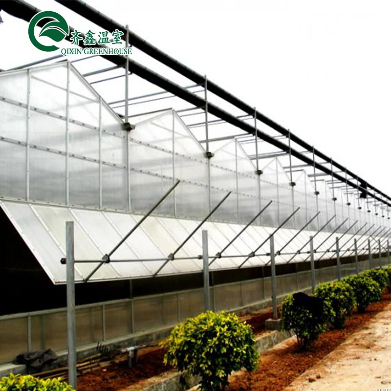 Aquaponic Tomato Galvanized Steel Pipe For Prefabricated PcTent Greenhouse