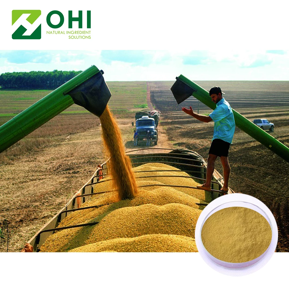 Hydrolyzed Non-gmo Soy Lecithin Powder (de-oiled lecithin) .