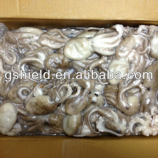 
IQF cheap price size 20-60g/pcs Frozen baby octopus. 