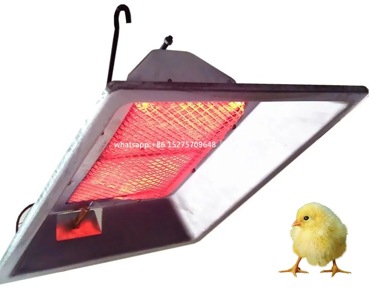 Used poultry equipment infrared gas heater/ chicken brooder for sale