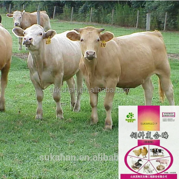 
Cattle Feed Additive Flavour Powder Animal Food Attractant Promote Healthy And Growth 