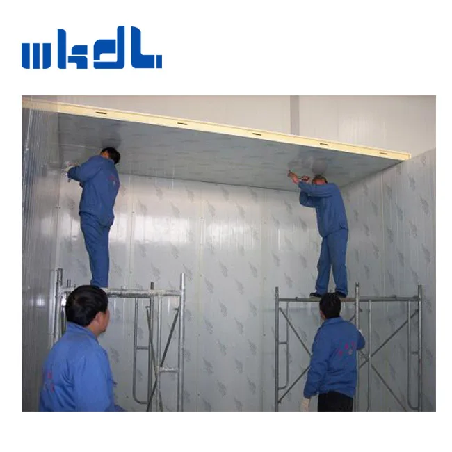 building design supermarket pu panel compressor cooling system cold room for fish