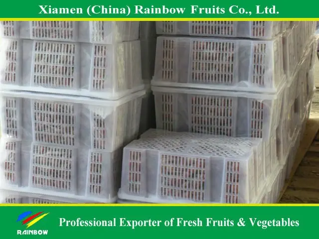 
Chinese fresh delicious red table globe grape wine grapes 