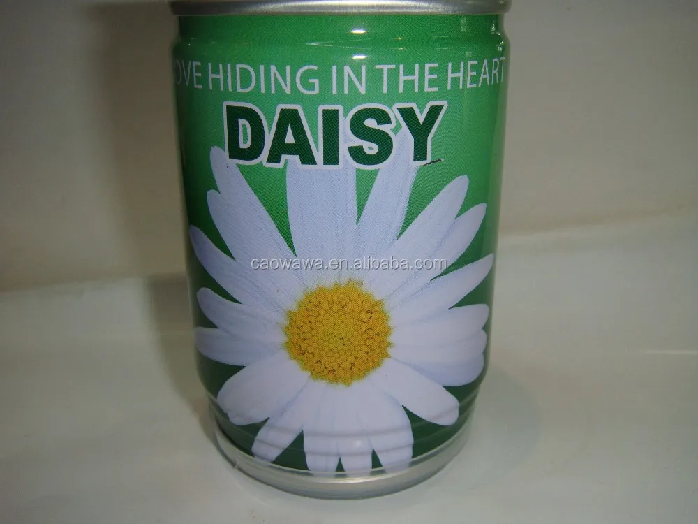 
Herb Seeds Can Flower Tin Pot For Herb promotion gifts 