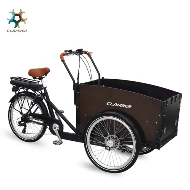 Eu warehouse 3 wheel 250W motor electric adults cargo tricycle cargo kids bike for sale family cargo bike dutch