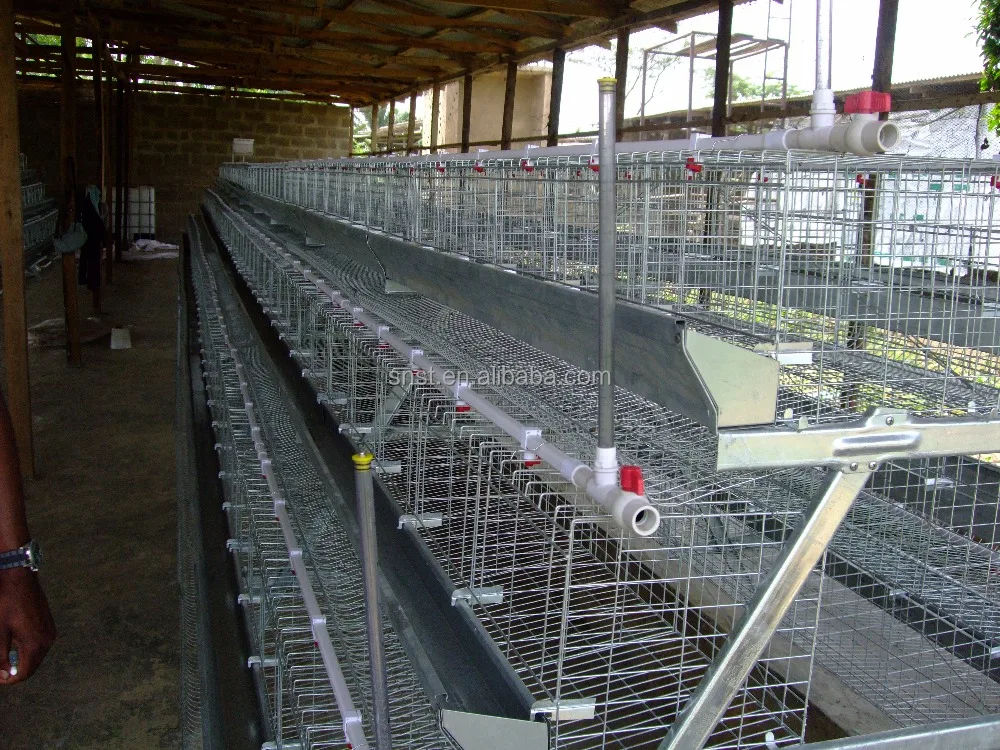 
Chicken layer battery cage for layer chicken popular in Africa market 