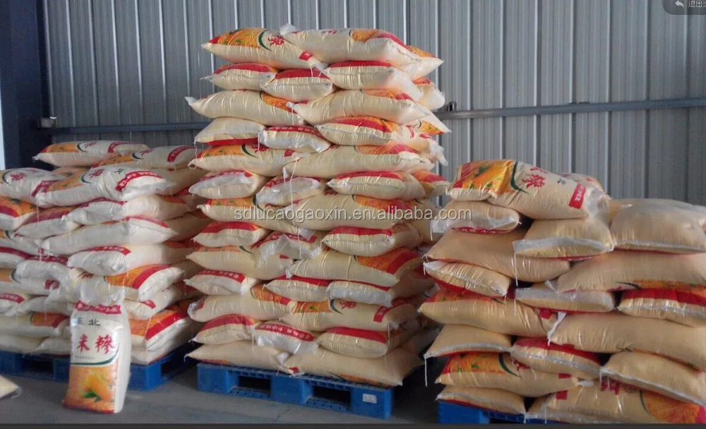 hot sale 30T per day 6FW-30TF corn mazie small scale domestic industrial commercial stone mini wheat flour mill