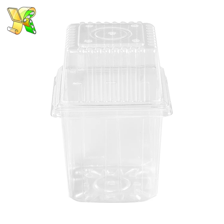 
Plastic high lid lunch box disposable high plastic container fruits guangzhou high plastic lids for salad 