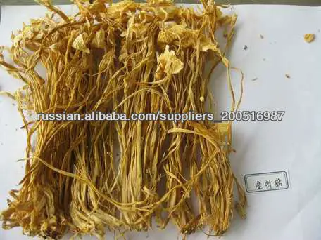 Сушеные грибы золотые нити