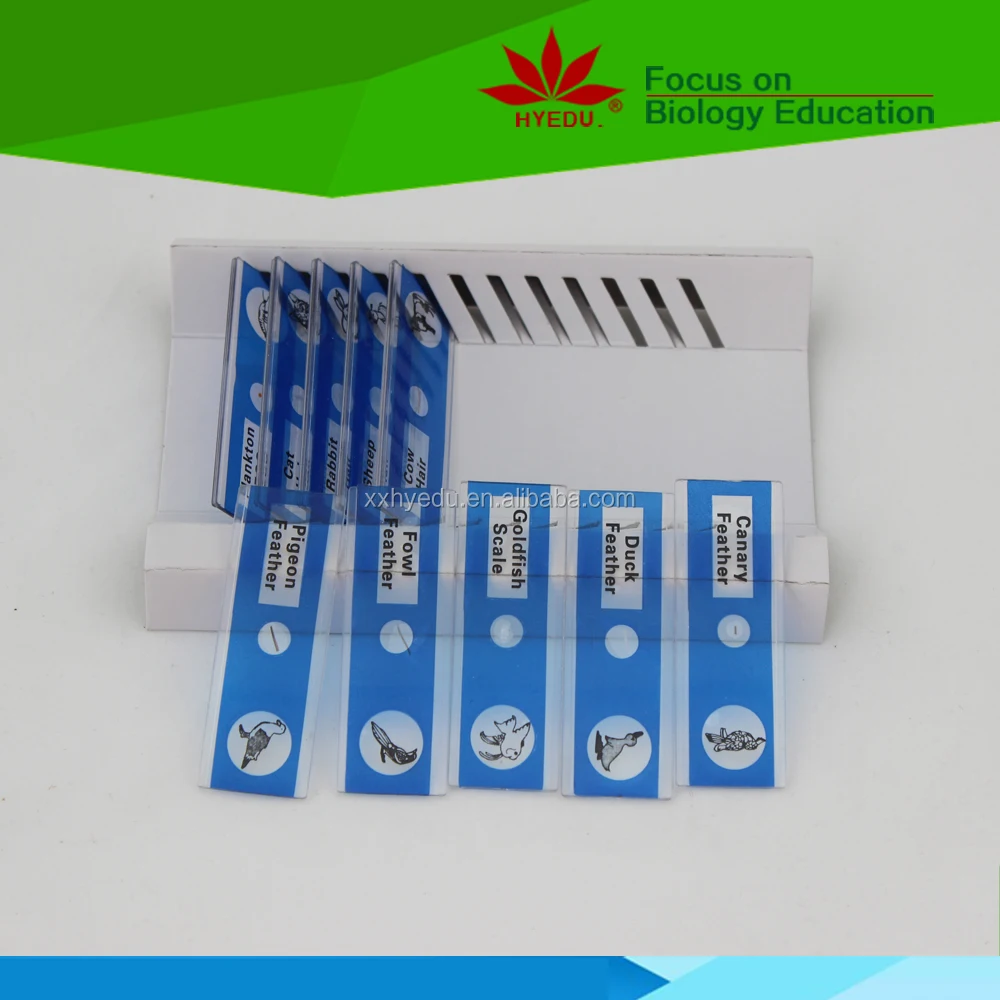 Home teaching science gifts for children 12 pieces plastic children animal plant  microscope slides