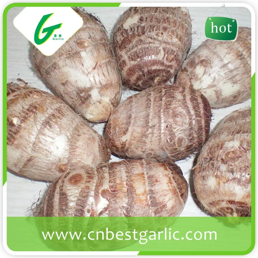 Свежие таро оптовая цена