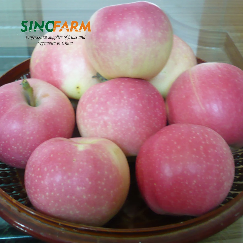 China Fresh Pink Gala Apples With Lower Price