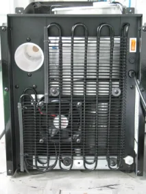 Hot and cold compressor cooling Cup  water Cooler dispenser with RO filters