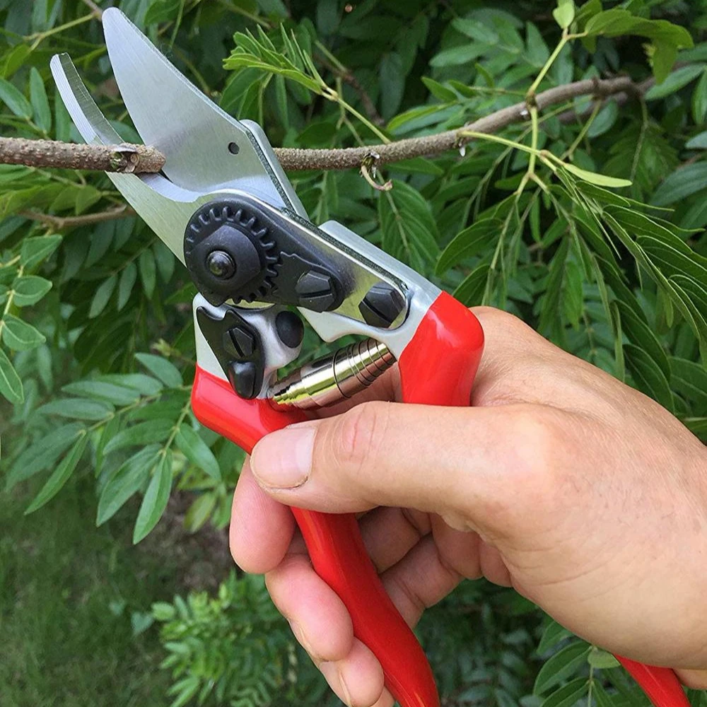 
HIGH QUALITY pruning tools shears small pruning shears garden shear 