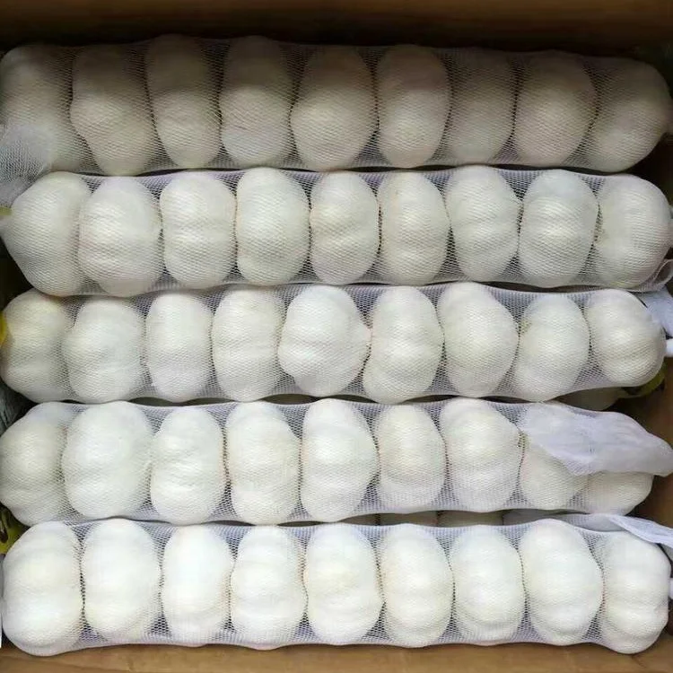 
buy garlic dry garlic wholesale with best price 