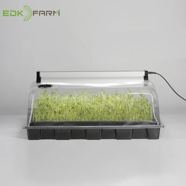 
mini greenhouse kit seedlings pots cutting plant propagation dome trays microgreen tray 