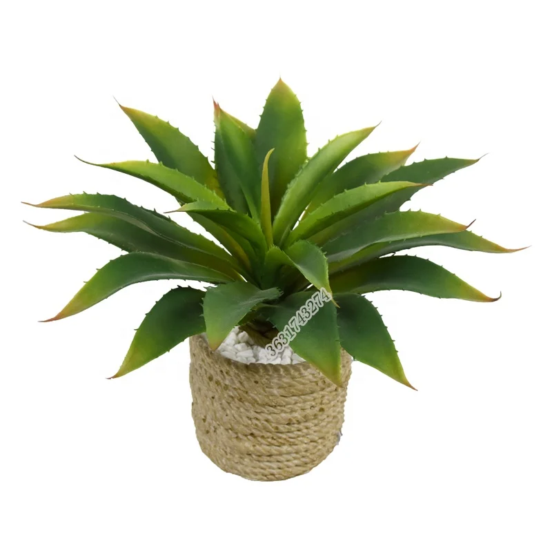 Оптовая продажа с фабрики, высококачественные пластиковые суккуленты, искусственные агавы для украшения сада